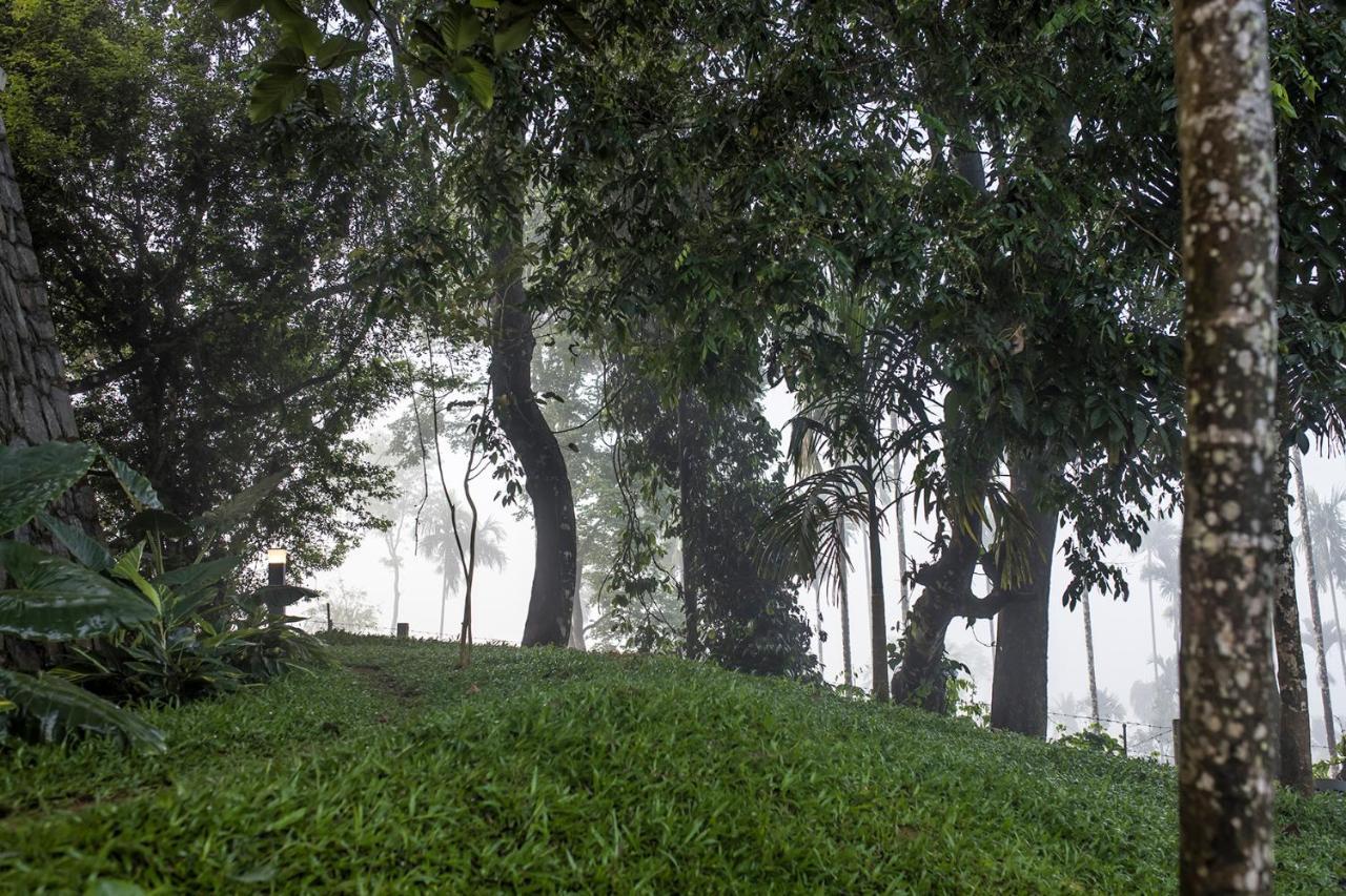Great Trails Wayanad By Grt Hotels Dış mekan fotoğraf